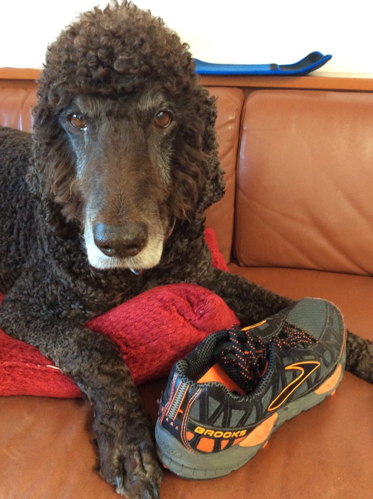When used as pillows, shoes got soaked in drool